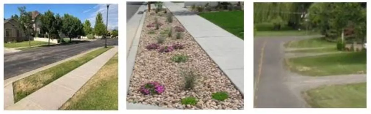 3 Park Strip Examples