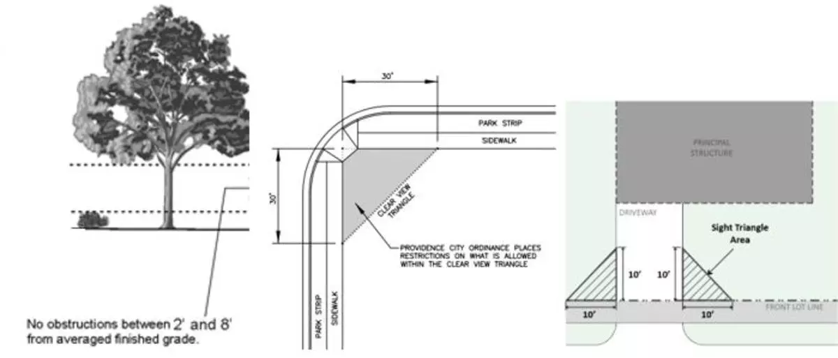 Clear View Illustration