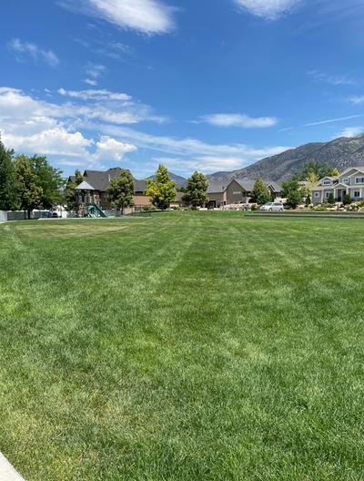 Green Space