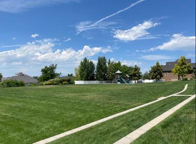 Green Space from Walking Path