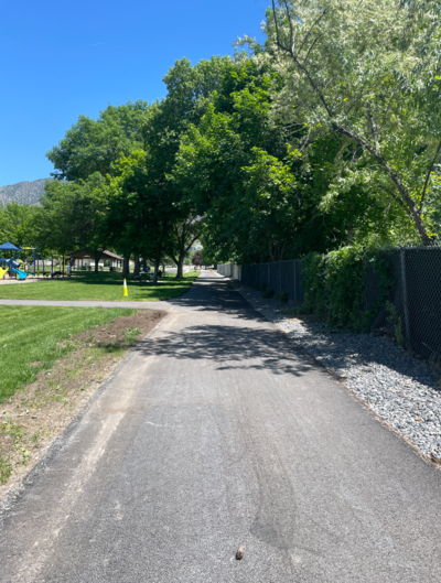Paved walking path through the park