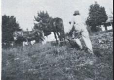 Picture of an old timey farmer plowing his field