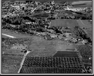 Picture of fruit farms
