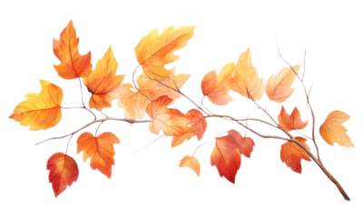 Illustrated image of fall leaves.